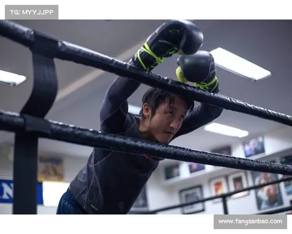 邹市明全部比赛(邹市明拳坛传奇赛事辉煌时刻从奥运荣耀到职业巅峰精彩对决回顾)